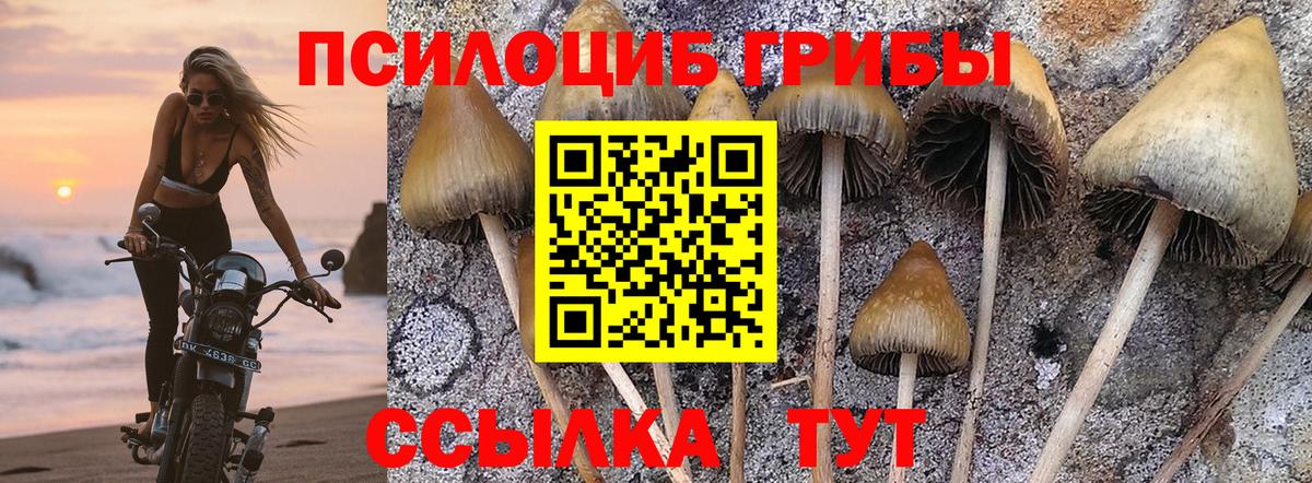 Псилоцибиновые грибы мухоморы Нягань